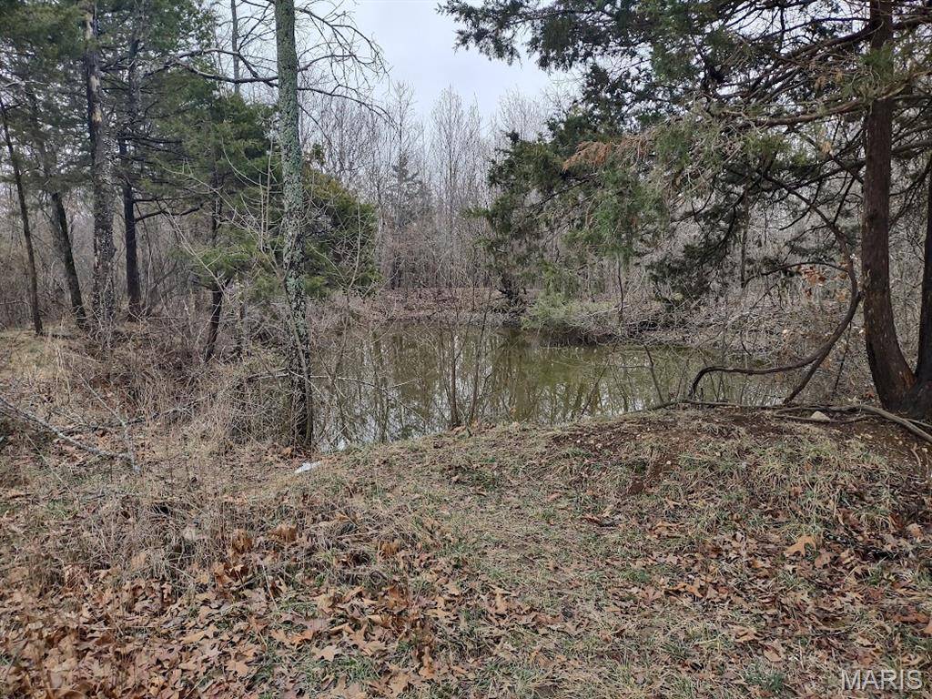 NEW $$ 8850 State Highway DD, Grovespring, MO 65713