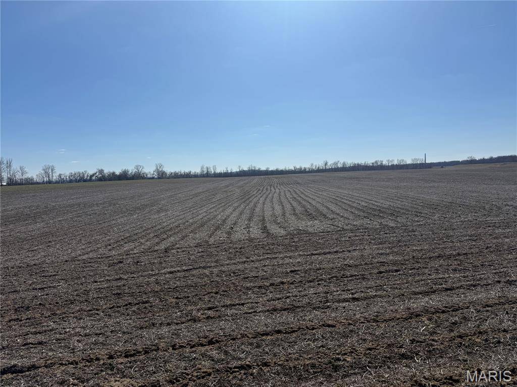 000 State Route 156, Valmeyer, IL 62295