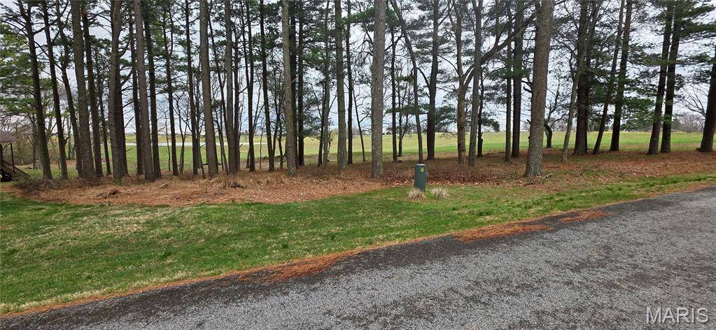 00000 Woodland TRL, Anna, IL 62906