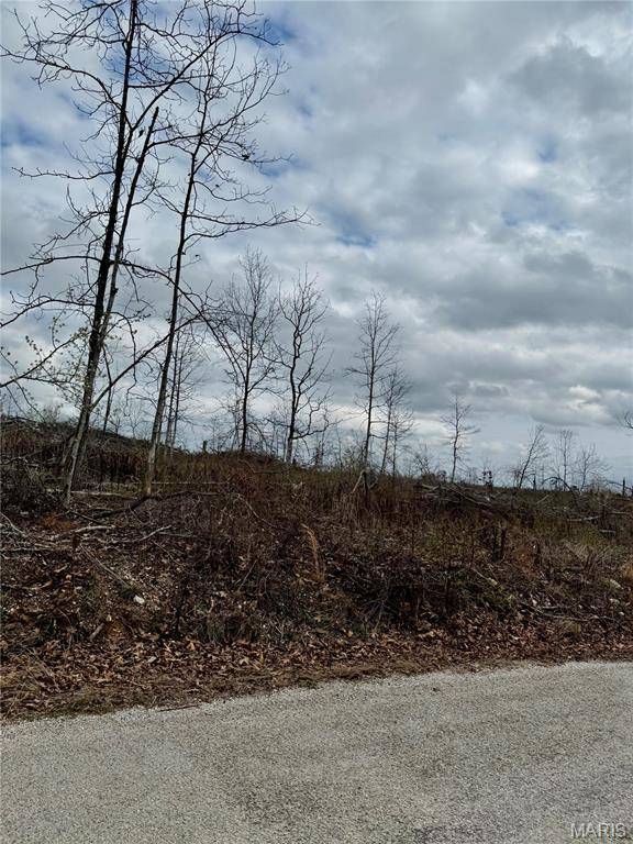 1365 County Road 3500, Mountain View, MO 65548
