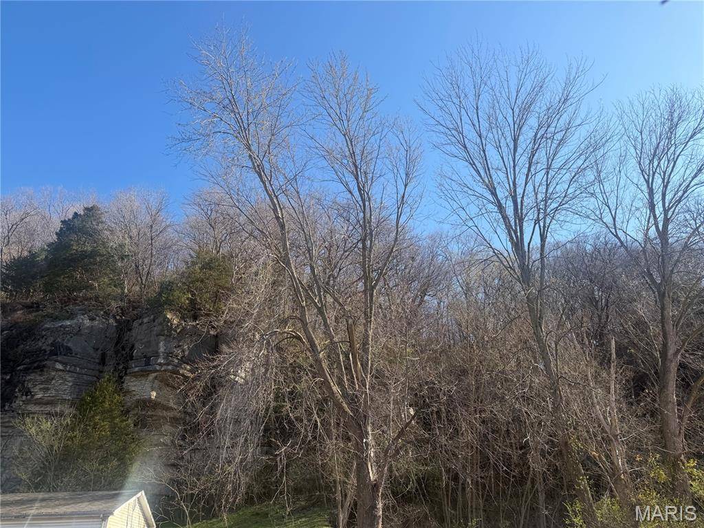 611 Bluff RD, Prairie Du Rocher, IL 62277