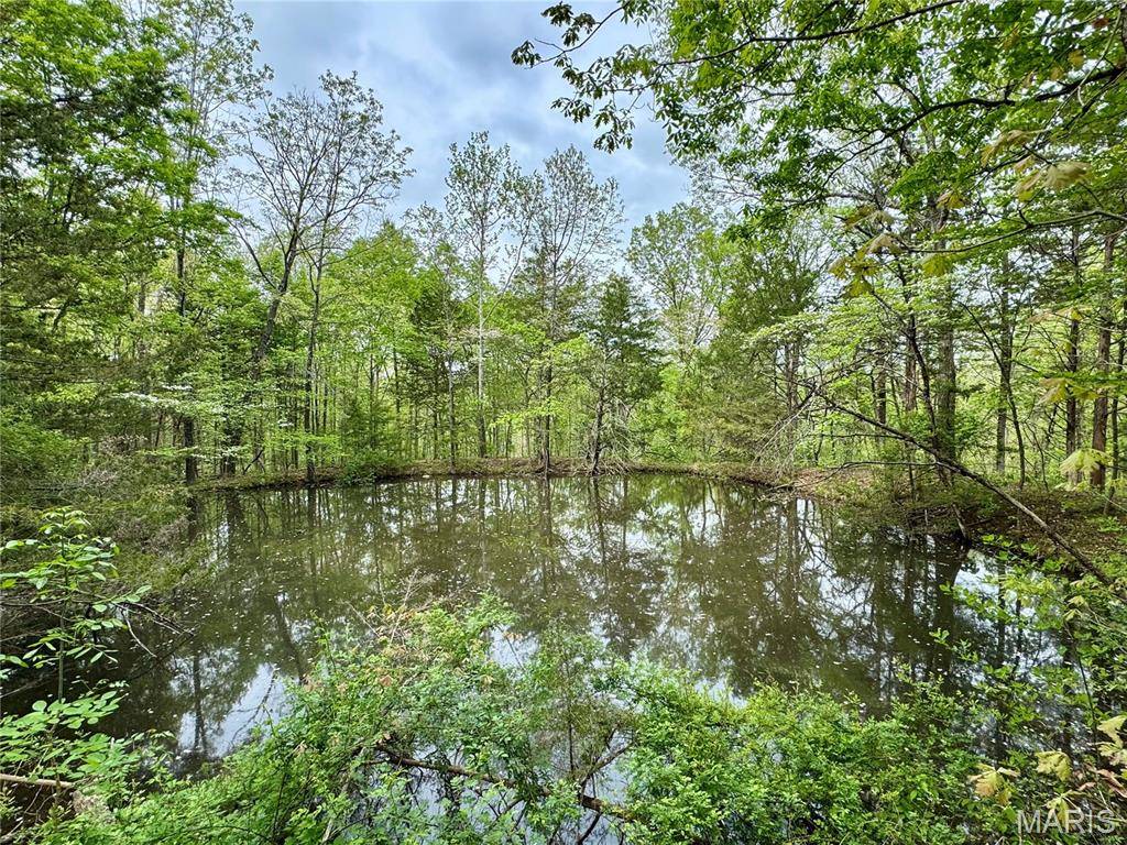 000 Hank Lane, Dixon, MO 65459