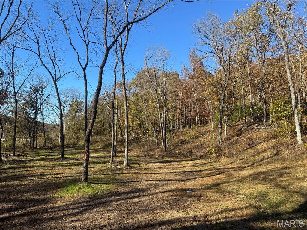 000 Hank Lane, Dixon, MO 65459