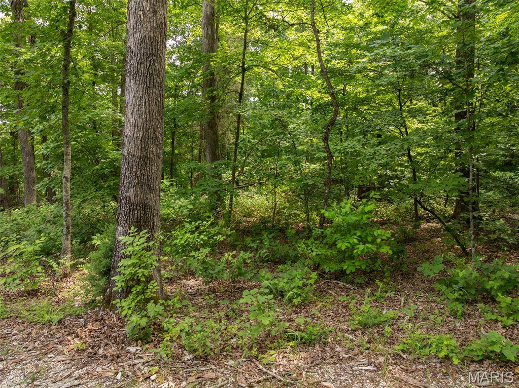 2528 Alpine Trails DR, Innsbrook, MO 63390