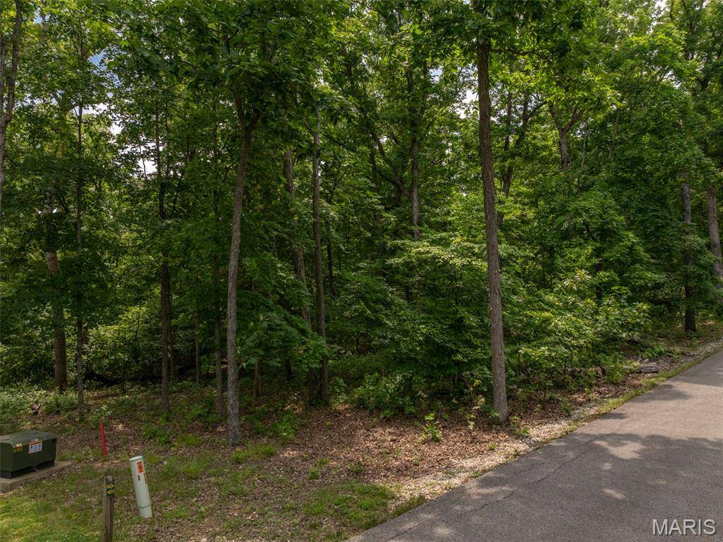 2528 Alpine Trails DR, Innsbrook, MO 63390