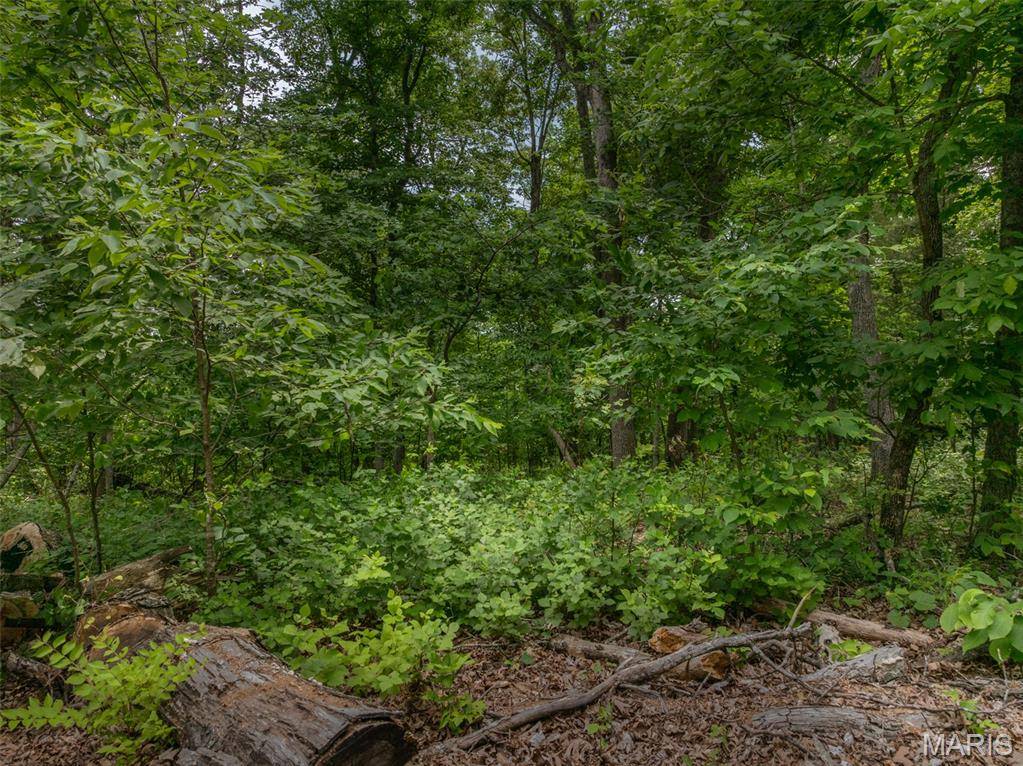 2528 Alpine Trails DR, Innsbrook, MO 63390