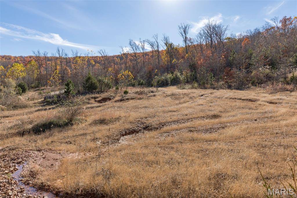 1502 MO 21, Ironton, MO 63650