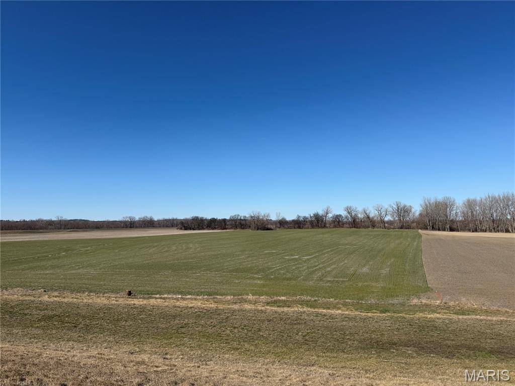 000 Levee Rd, Valmeyer, IL 62295