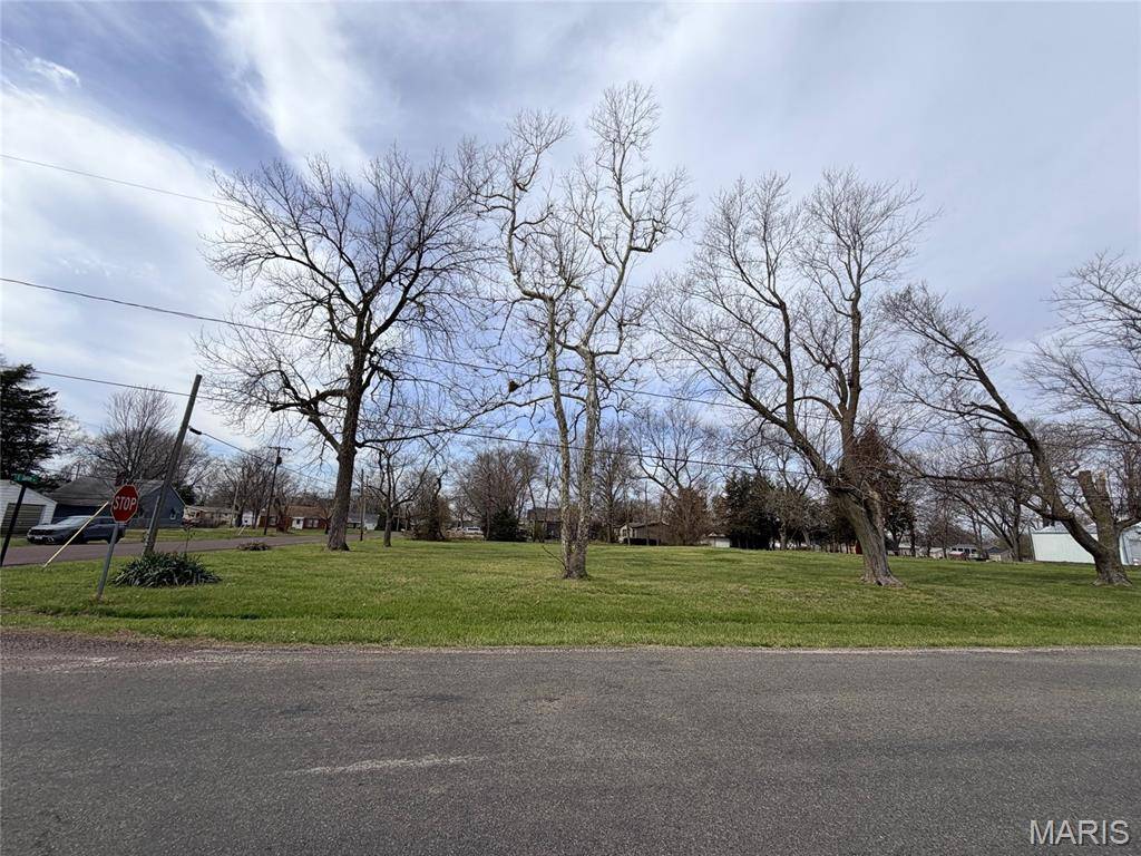 13007 Harrison TRL, Litchfield, IL 62056