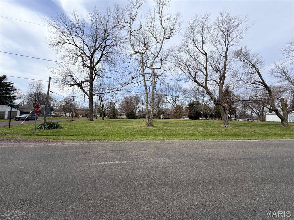 13007 Harrison TRL, Litchfield, IL 62056