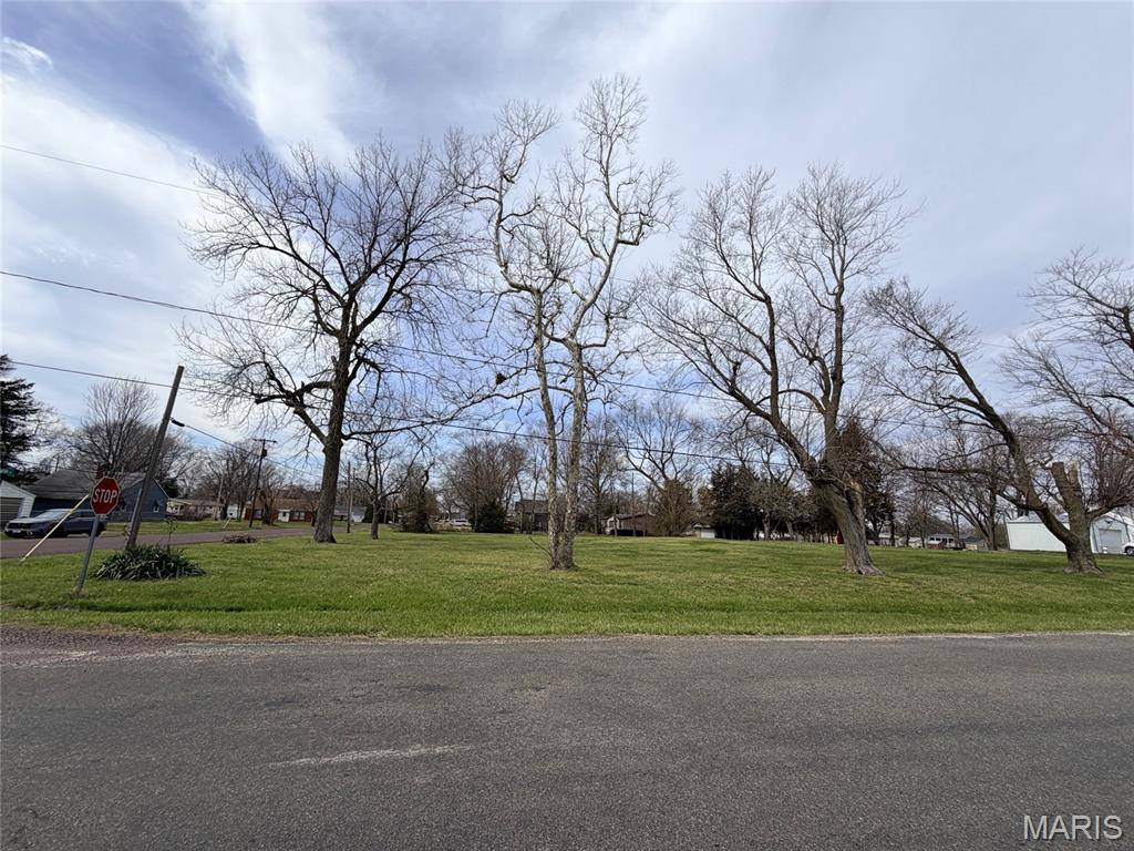 13007 Harrison TRL, Litchfield, IL 62056