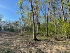 Tract 4 Walker Way, Monroe City, MO 63456