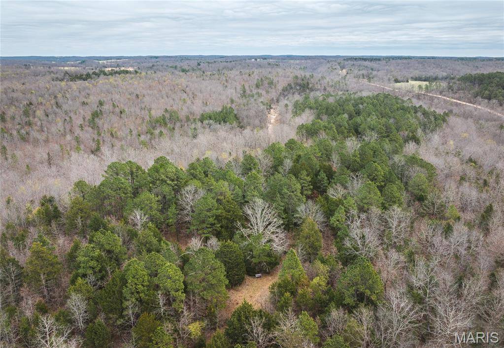 000 County Road 2660, Mountain View, MO 65548