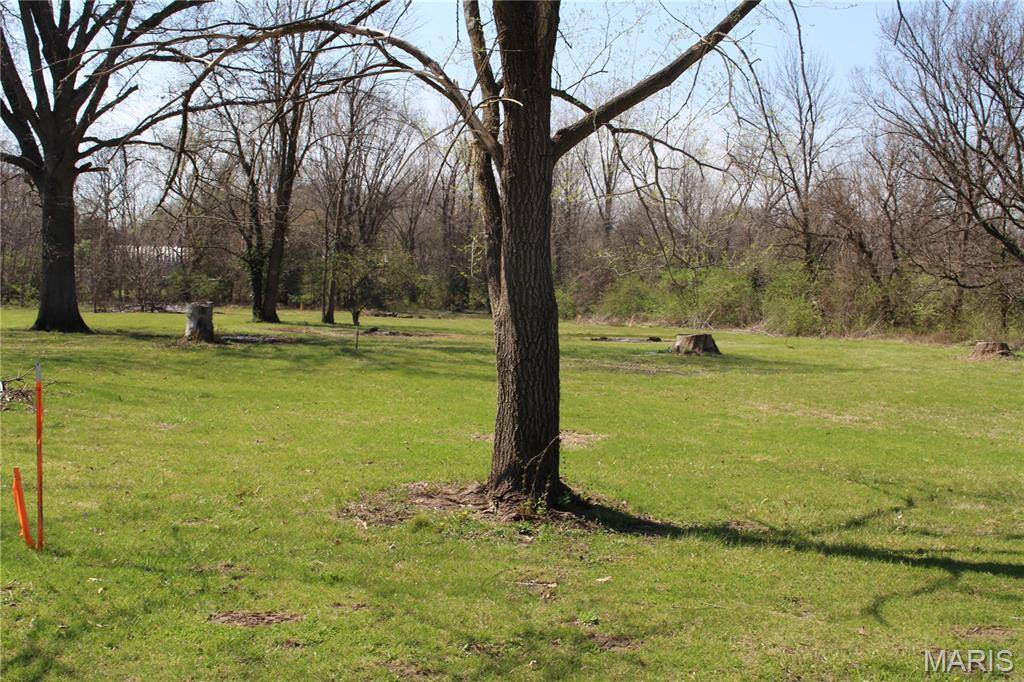 TBD Caroline AVE, Bellflower, MO 63333