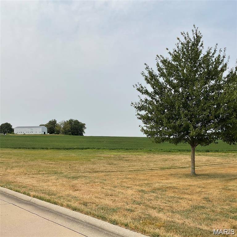 XXX FAITH DR, Highland, IL 62249