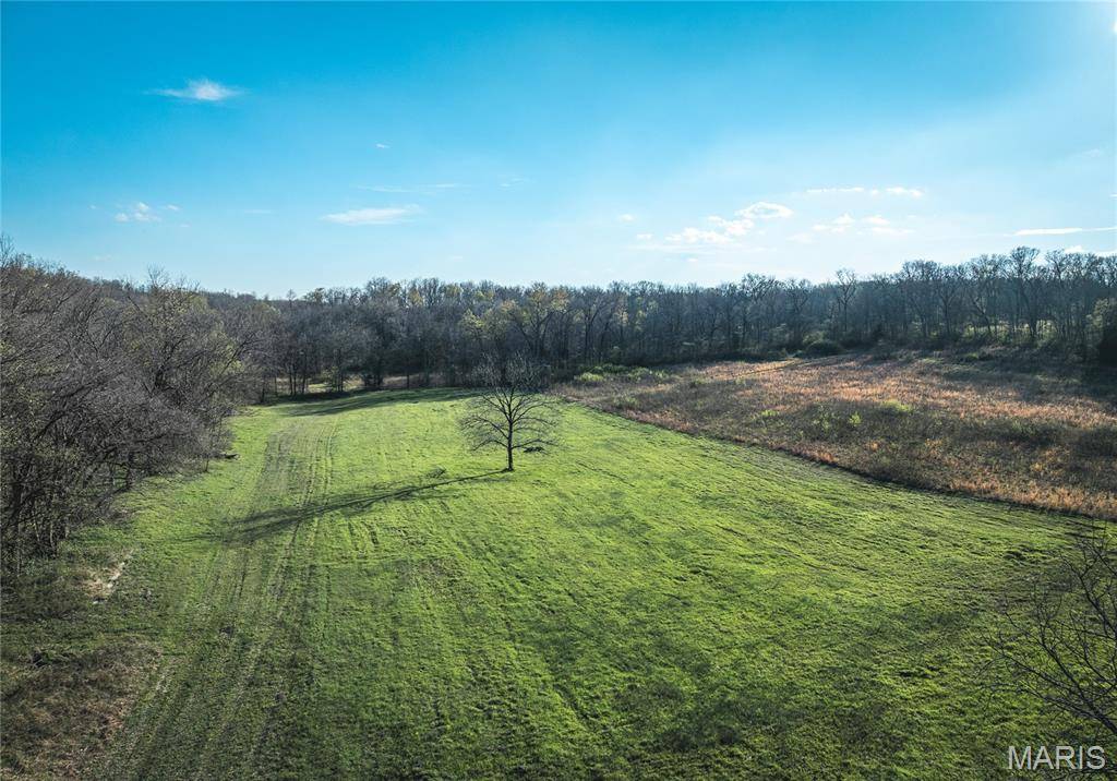 TBD County Road 3600, St James, MO 65559