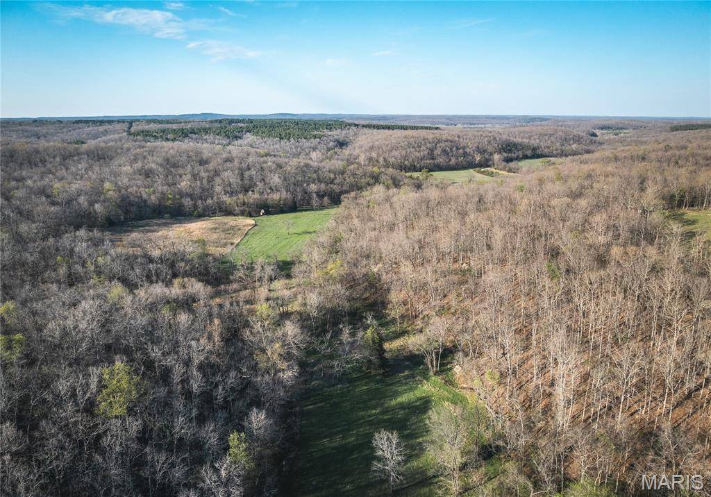 TBD County Road 3600, St James, MO 65559