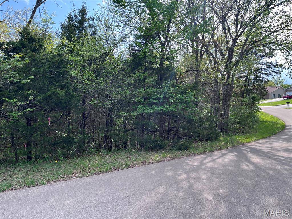 0 Napoleon DR, Bonne Terre, MO 63628