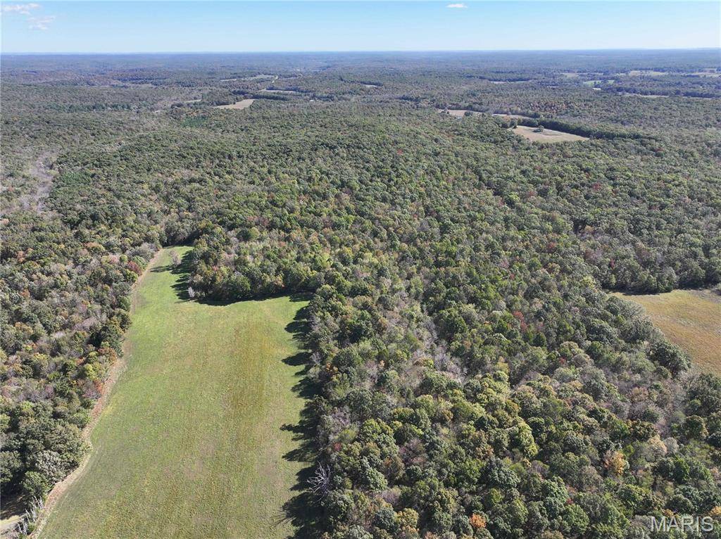 Tract 3 State Hwy Dd, Glen Allen, MO 63655