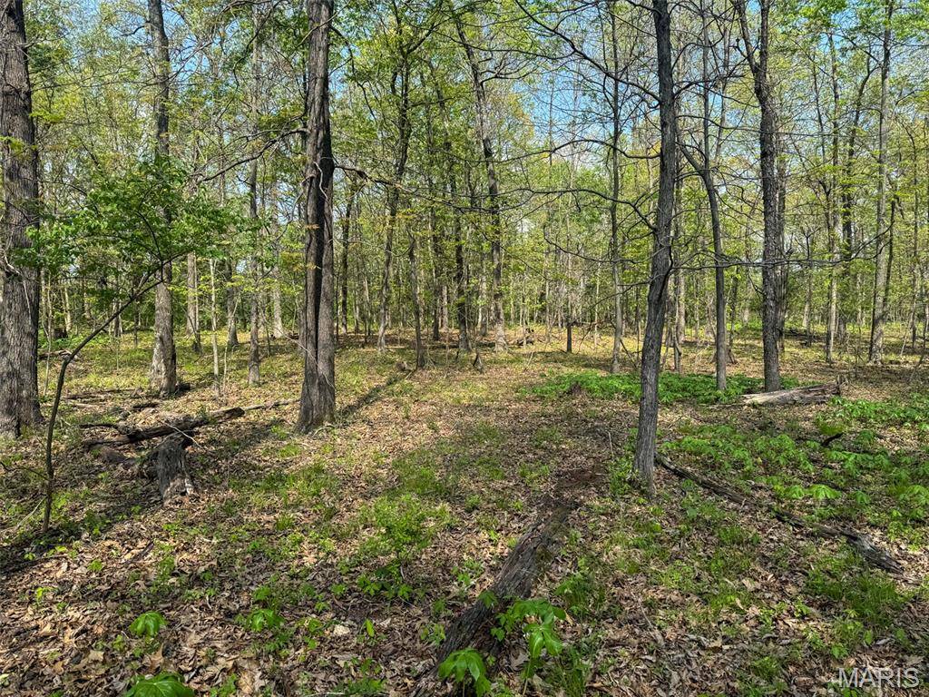 0 Hwy 51, De Soto, IL 62924