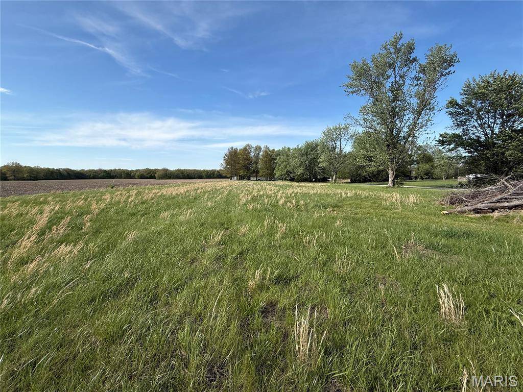 TBD Fellin DR, Mount Olive, IL 62069