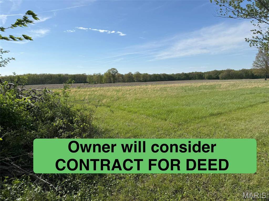 TBD Fellin DR, Mount Olive, IL 62069