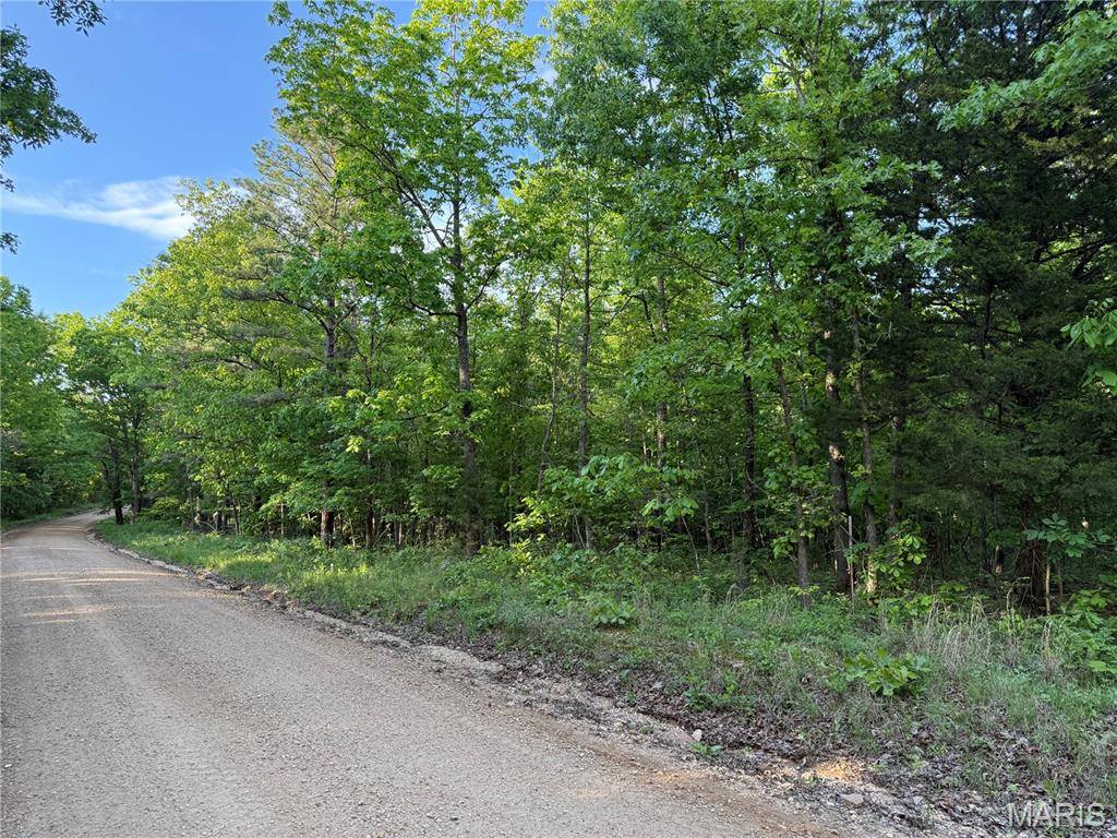 Tract 3 Carter 327, Ellsinore, MO 63937