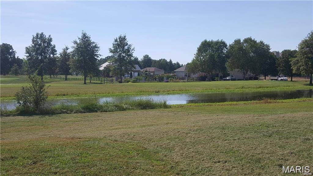 0 Spring Valley, Okawville, IL 62271