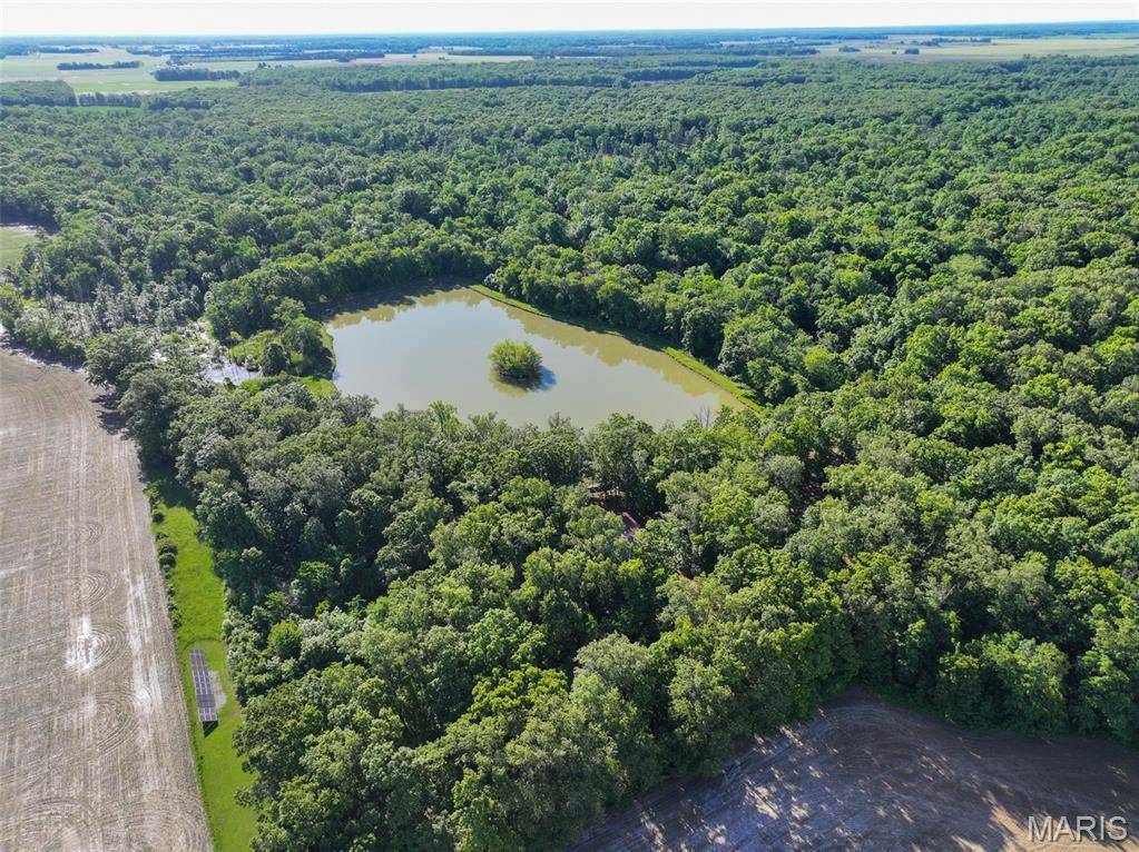 2040 Schlager Road, Elkville, IL 62932