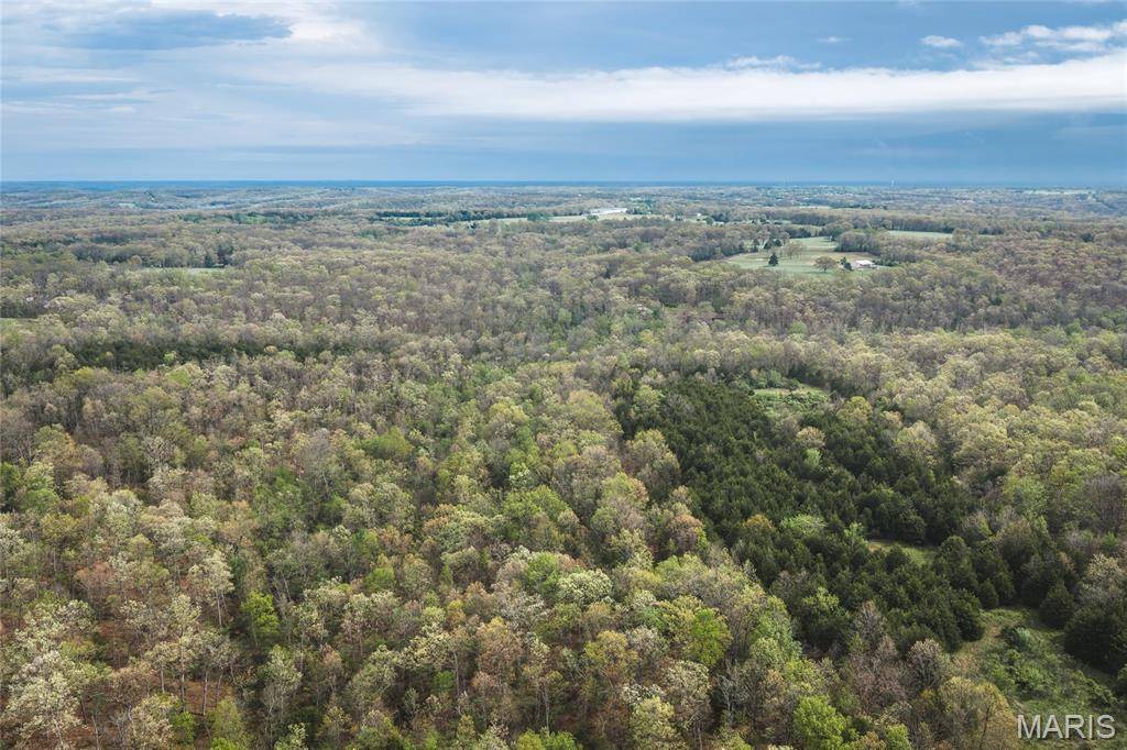 Tract 2 Cleavesville RD, Bland, MO 65014