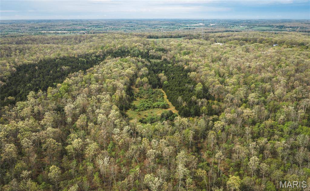 Tract 2 Cleavesville RD, Bland, MO 65014
