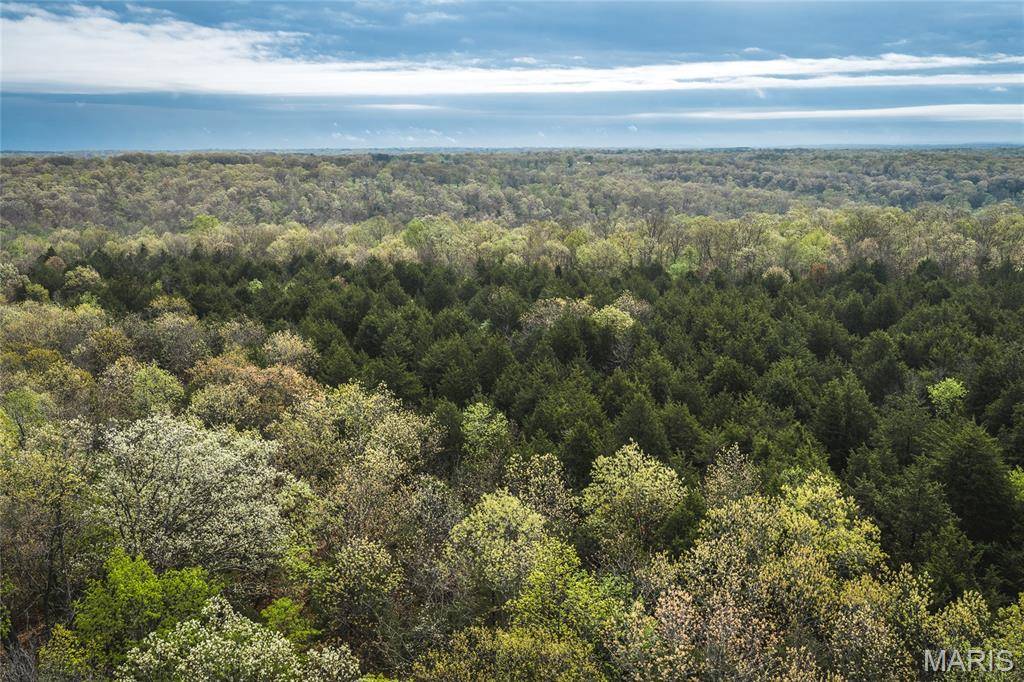 Tract 4 Cleavesville RD, Bland, MO 65014