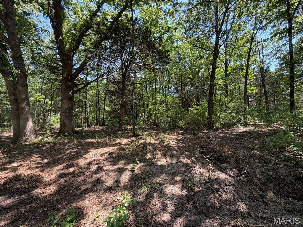 2.61 Acres Buckner Rd., Wentzville, MO 63385