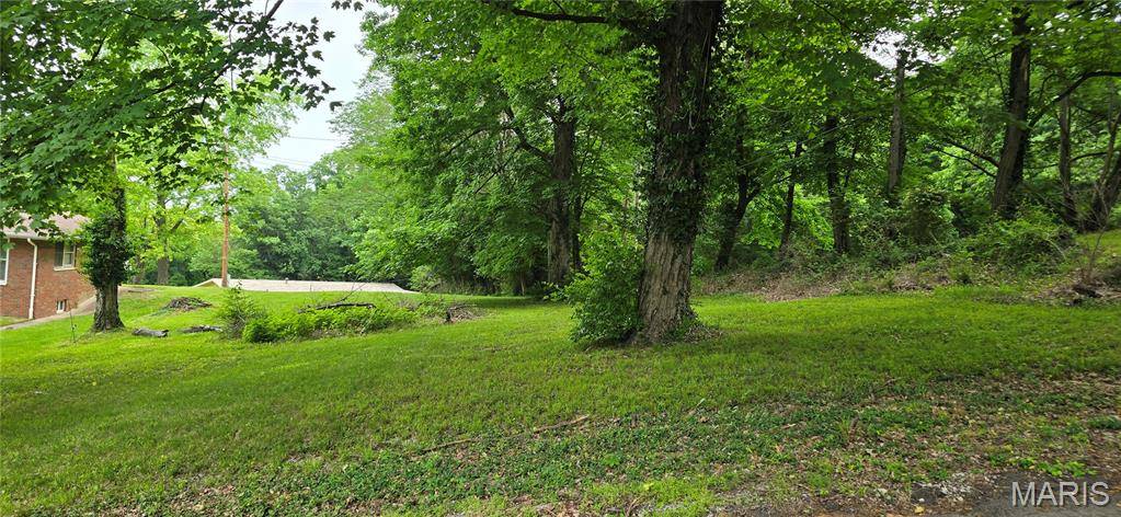 0 Bluff DR, Belleville, IL 62223