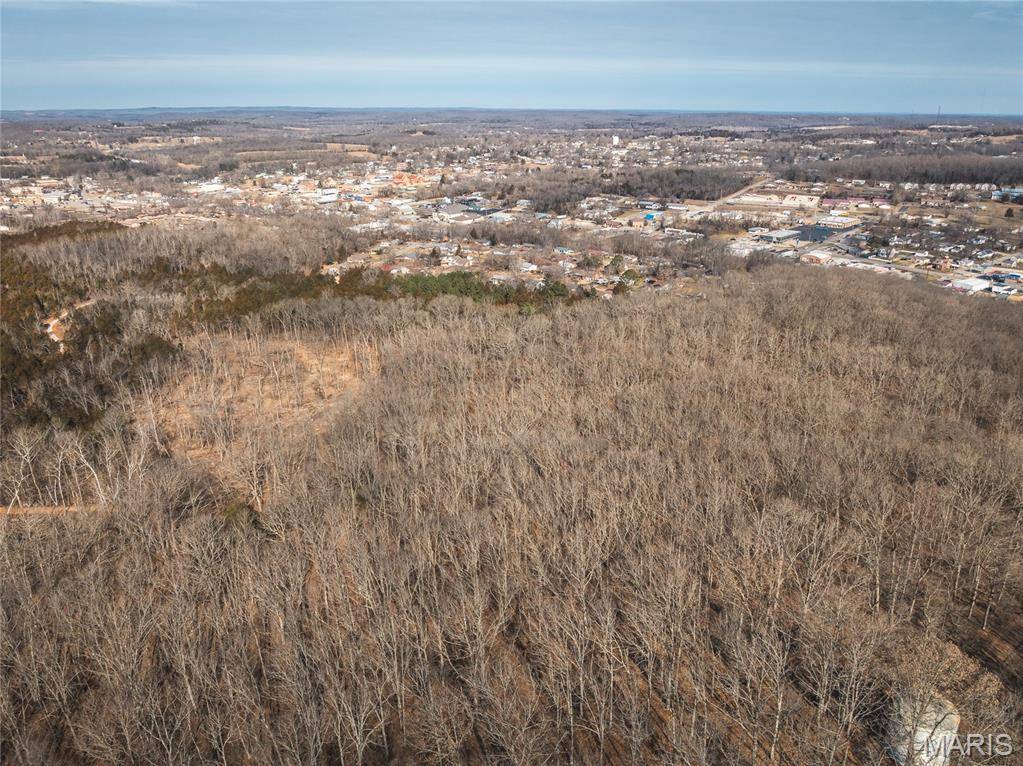 4 Mill ST, Potosi, MO 63664
