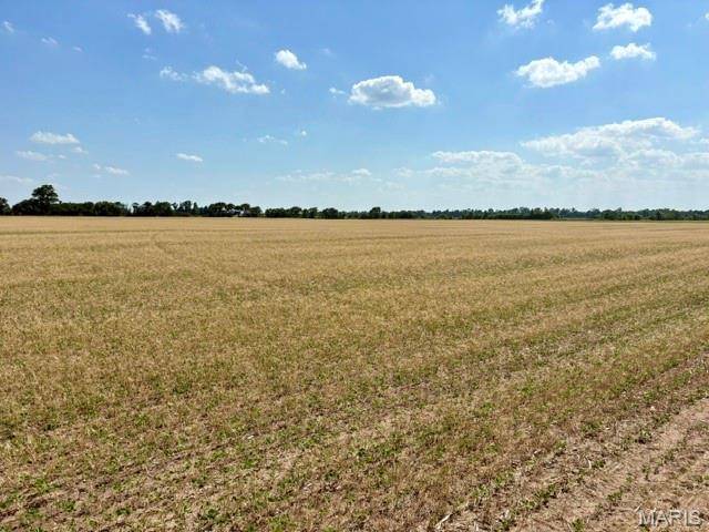0 S Highway BB, East Prairie, MO 63845