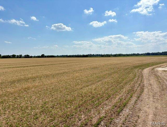 0 S Highway BB, East Prairie, MO 63845