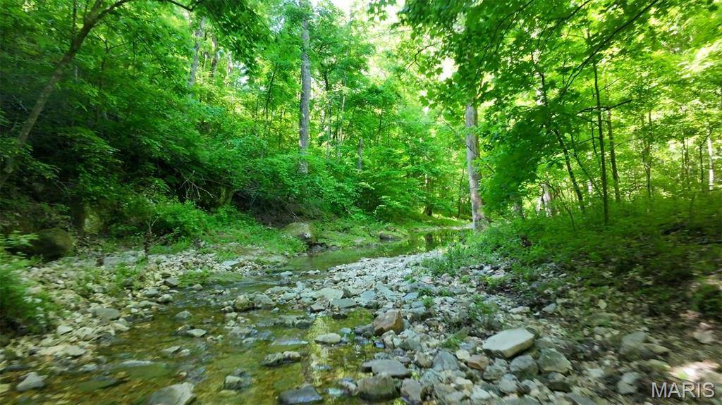 43 +/- Ac Hagedorn LN, New Florence, MO 63363