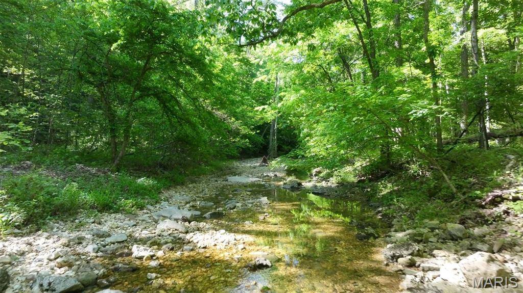 43 +/- Ac Hagedorn LN, New Florence, MO 63363