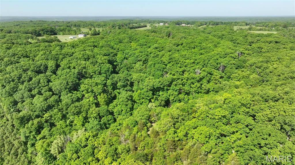 43 +/- Ac Hagedorn LN, New Florence, MO 63363
