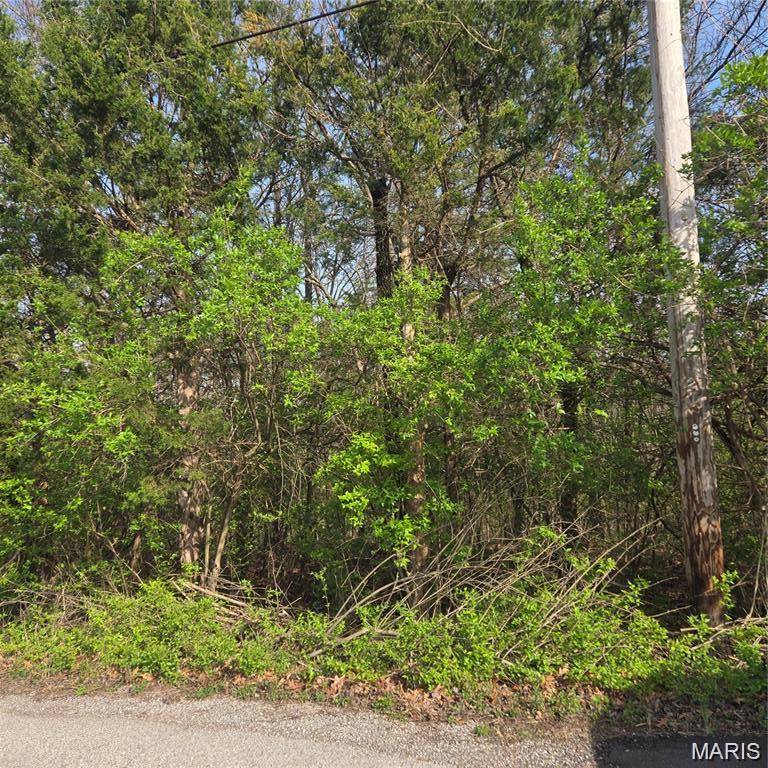 0 Four Ridge Terrace, House Springs, MO 63051