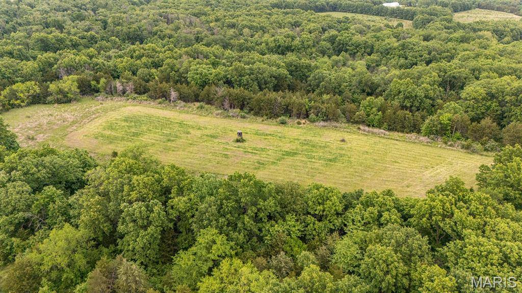 24435 Audrain Road 350 RD, Mexico, MO 65265
