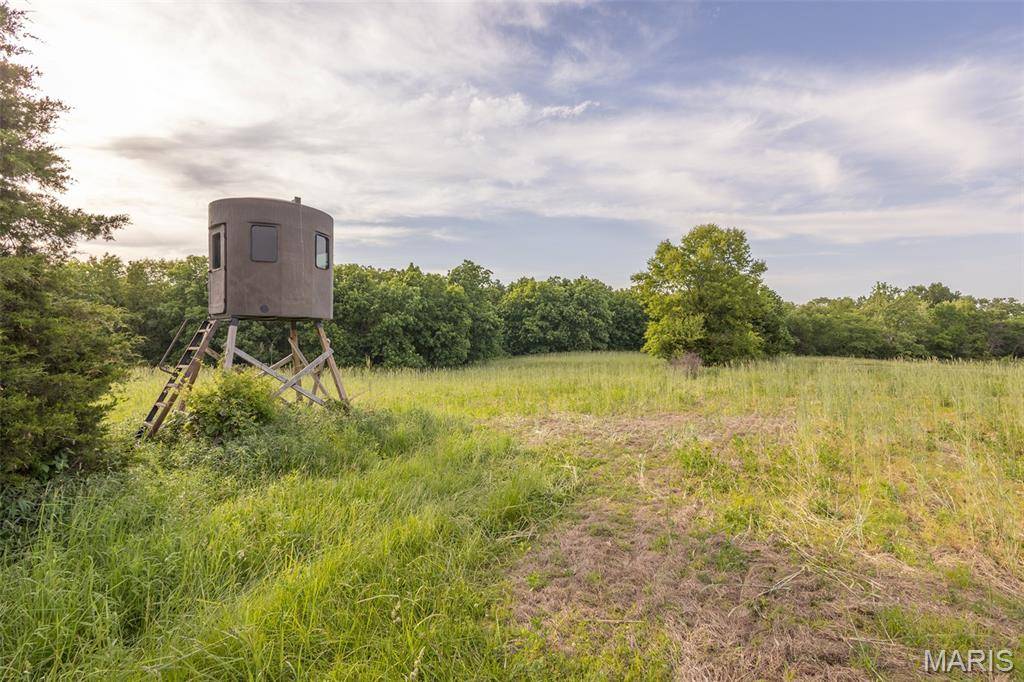 24443 Audrain Road 364, Mexico, MO 65265