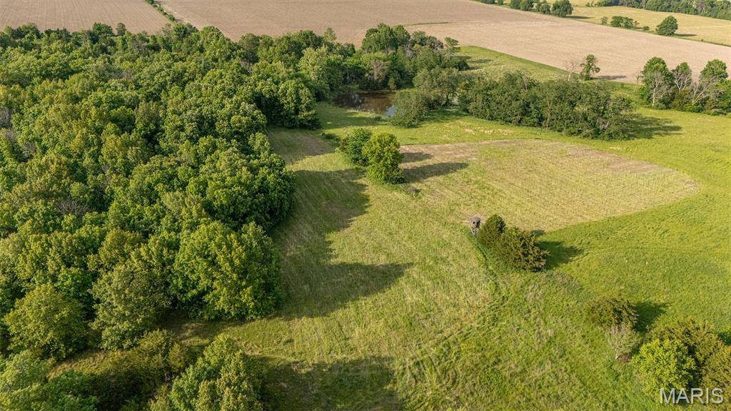 24443 Audrain Road 364, Mexico, MO 65265