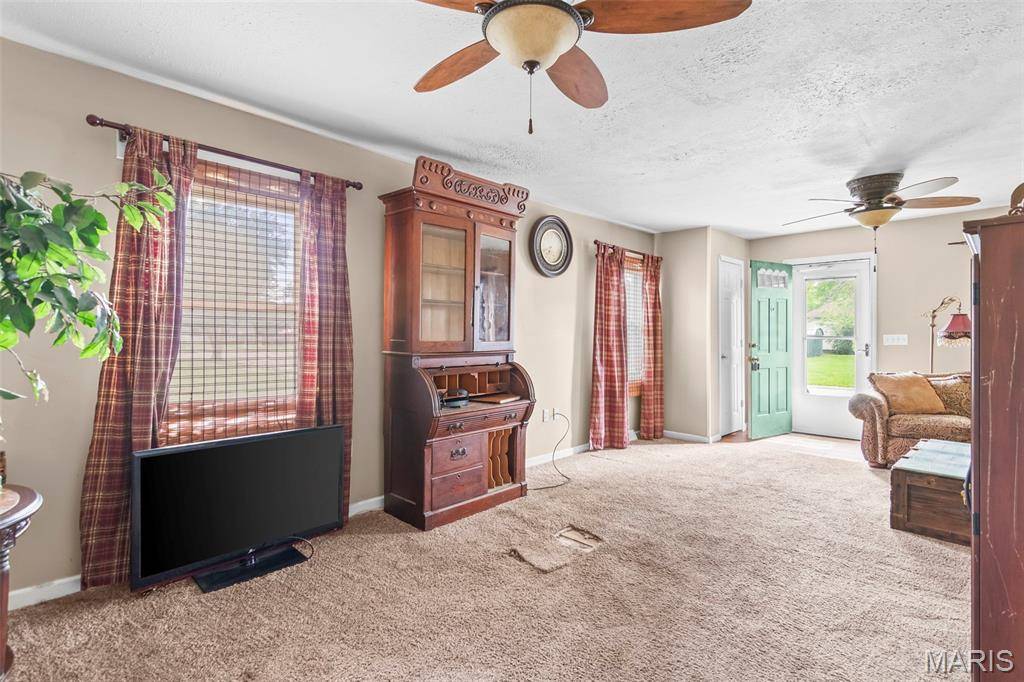 117 W Ferdon ST, Litchfield, IL 62056