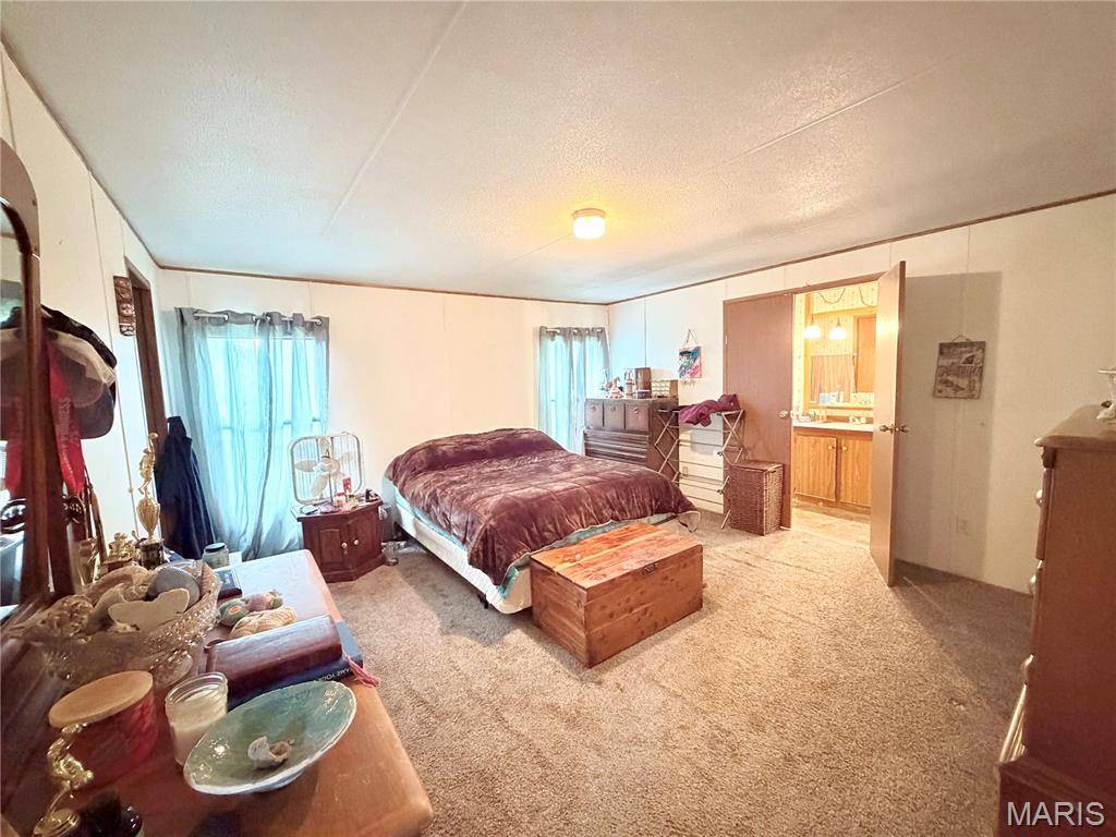 2809 County Road 115 RD, Annapolis, MO 63620