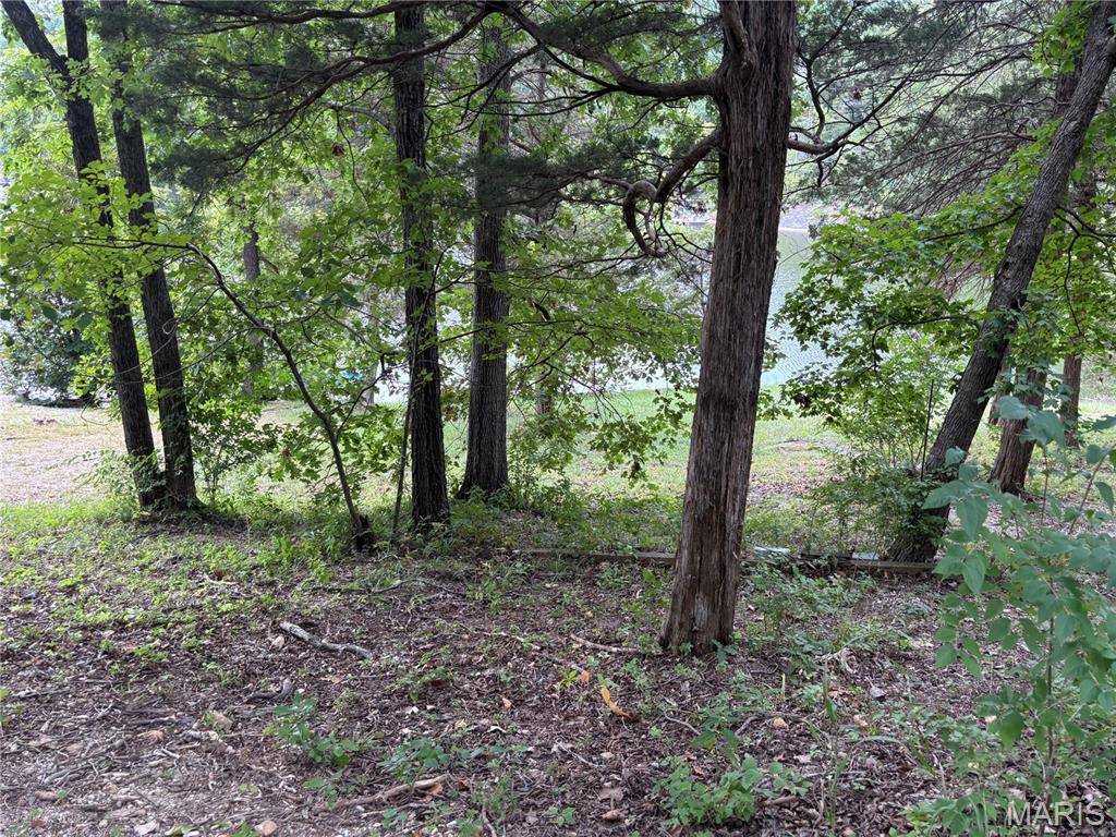 60 Lakeview TRL, New Florence, MO 63363