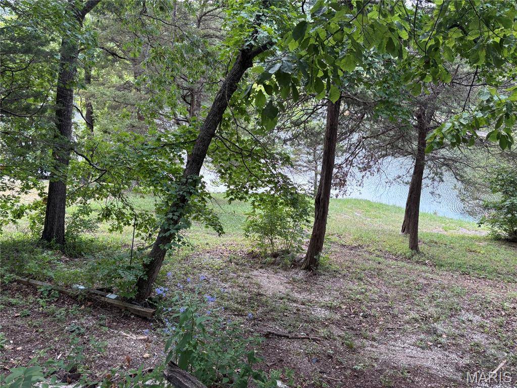 60 Lakeview TRL, New Florence, MO 63363