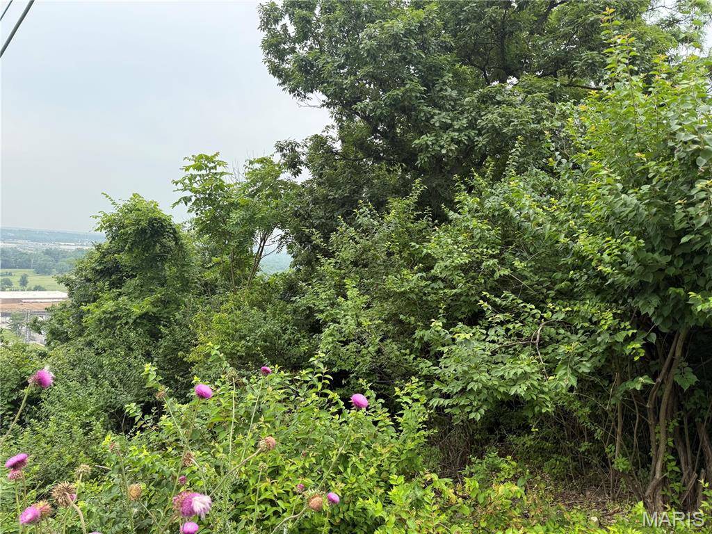 13010 Big Bend RD, St Louis, MO 63122