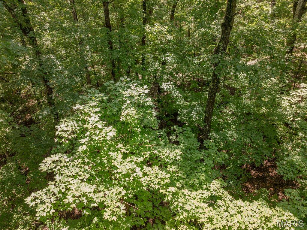 2625 Grendel DR, Innsbrook, MO 63390